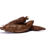 yuca